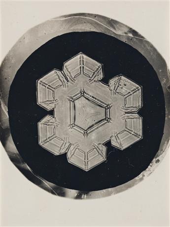 WILSON A. SNOWFLAKE BENTLEY (1865-1931) A group of three snow crystals.
